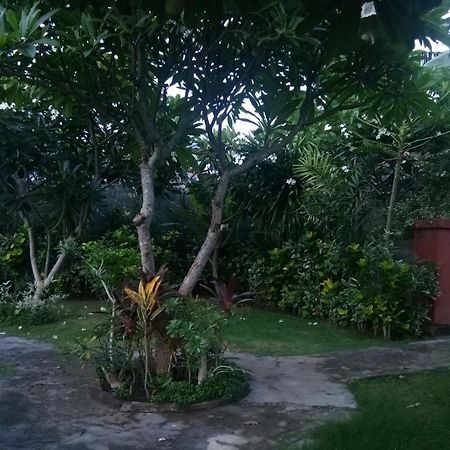 Molleh Guest House Pemuteran Esterno foto