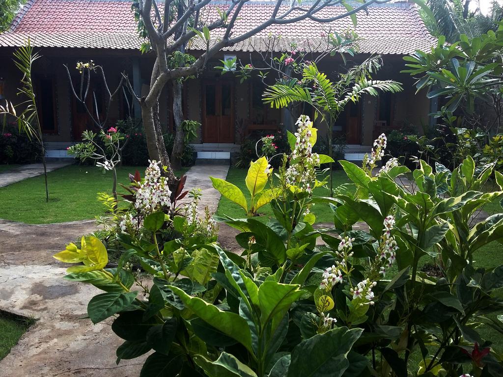 Molleh Guest House Pemuteran Esterno foto